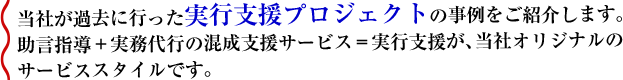 実行支援プロジェクト